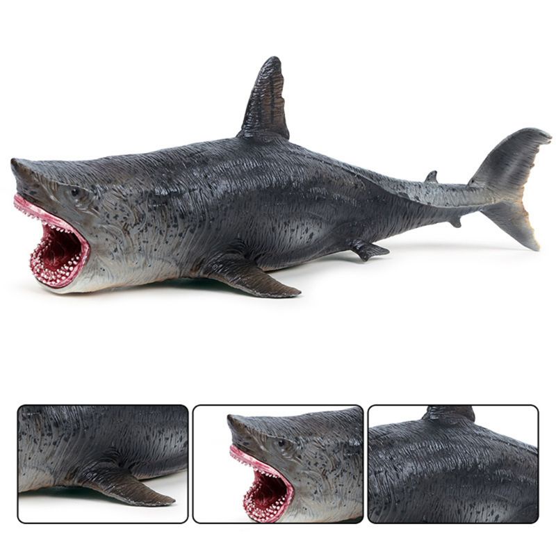 Mary Realistis Megalodon Figurine Mainan Model Hewan Laut Untuk Kolektor Hobi Anak