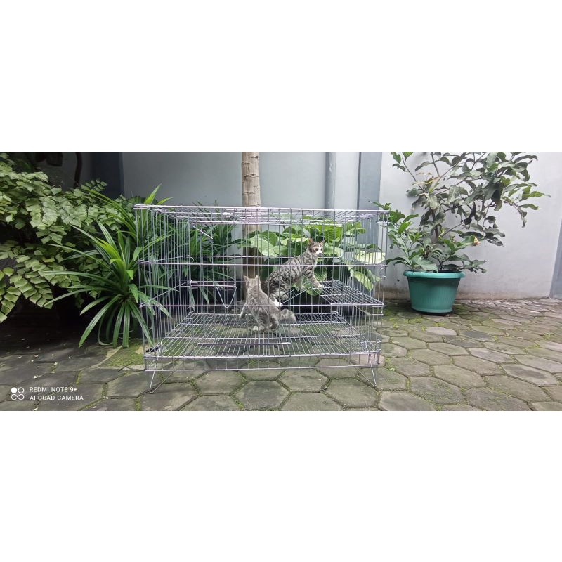 Kandang kucing 1 tingkat galvanis