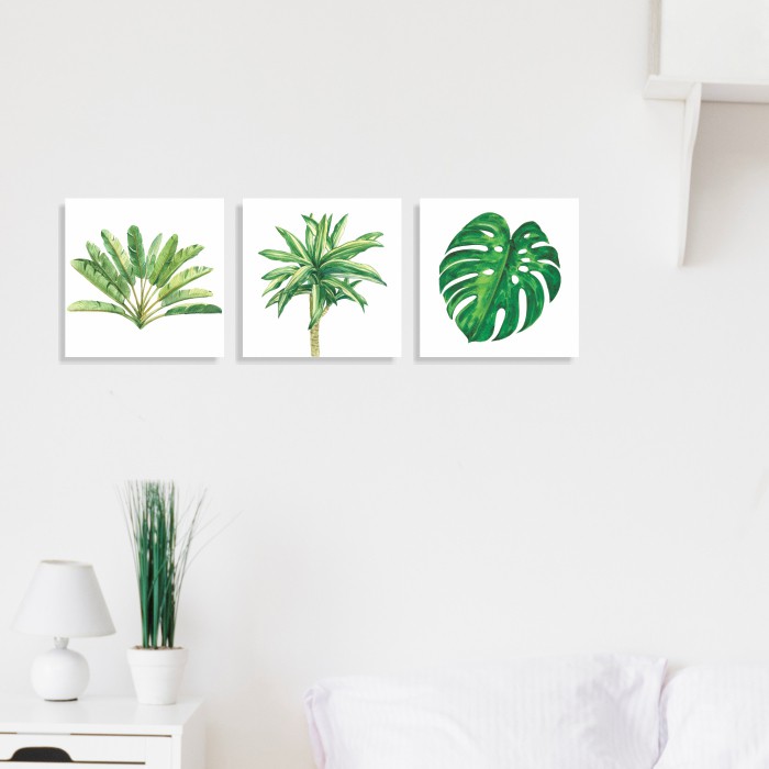 Hiasan Dinding Dekorasi Poster Tanaman Daun Leaf Plant Tropical  20x20 cm