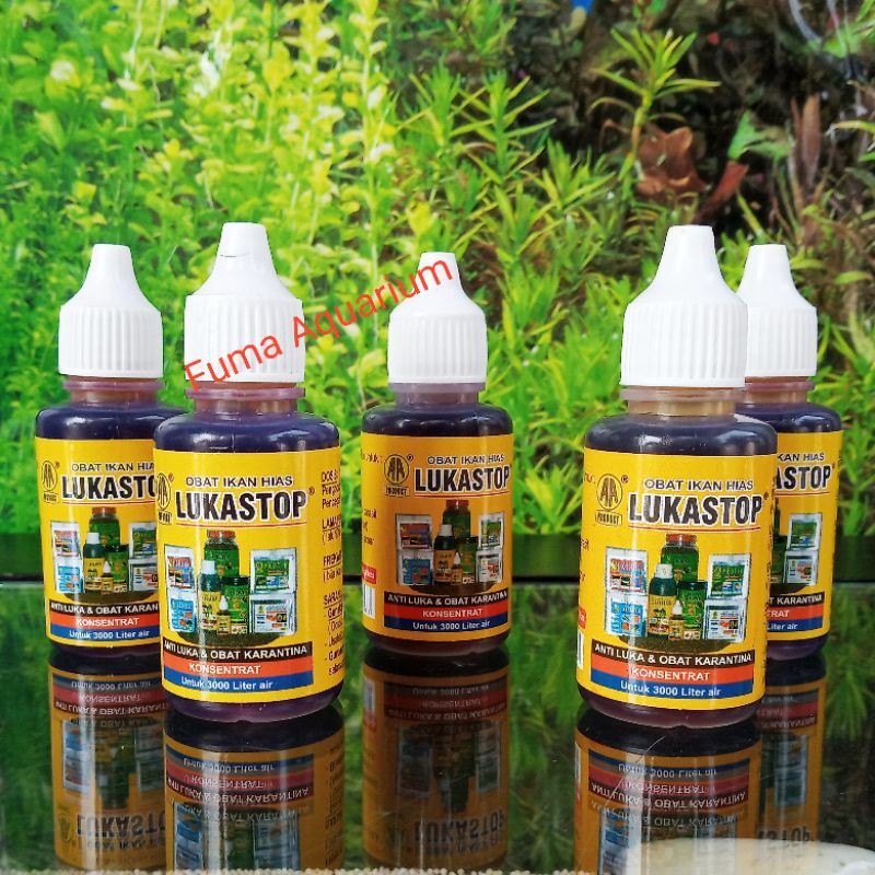 LUKASTOP 30 ML Obat Karantina Ikan Hias Obat Luka jamur Finrot sisik nanas obat kuning