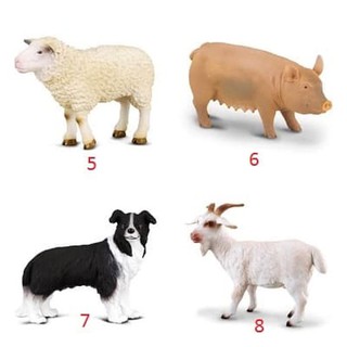 Download 7600 Gambar Hewan Babi Terbaru 