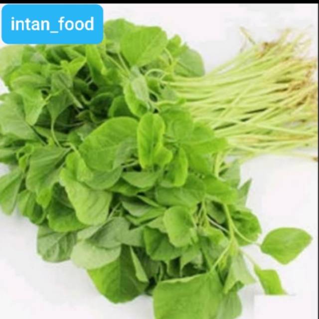 

Bayam fresh /1 ikat