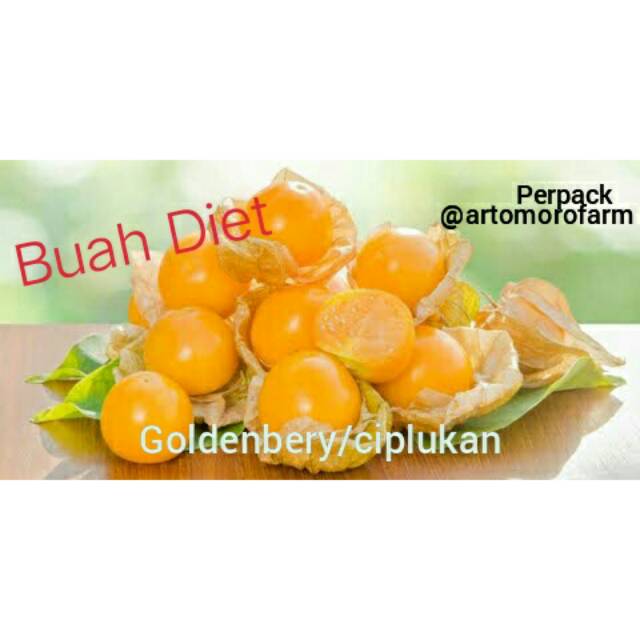 

Buah Gonden Berry / buah ciplukan perPACK