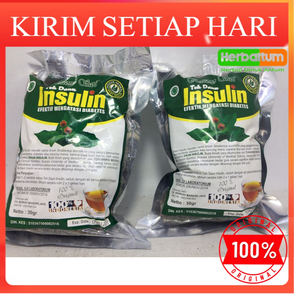 Jual Daun Insulin Gr Gr Herbal Insuline Untuk Diabetes Tanaman