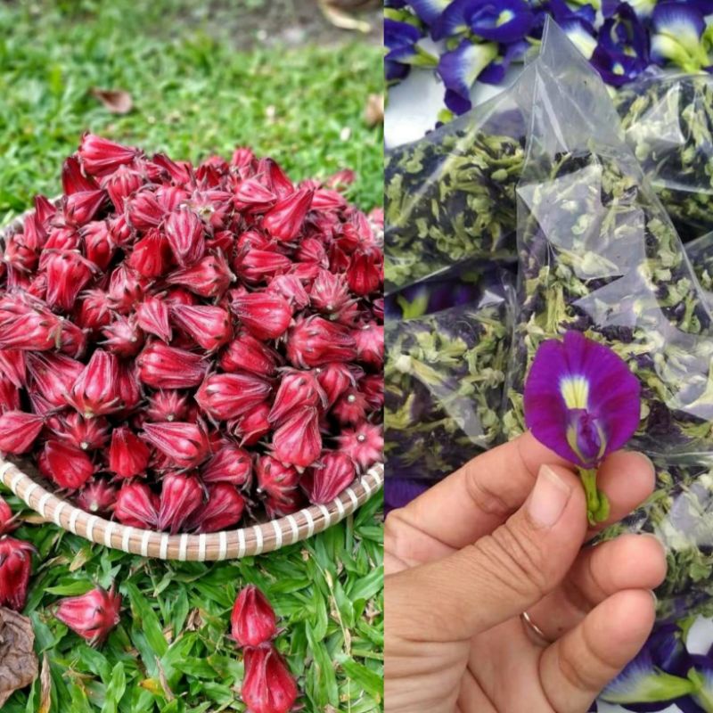 

TELANG & ROSELA ORGANIC PREMIUM QUALITY