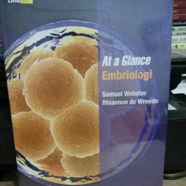 AT A GLANCE : Embriologi