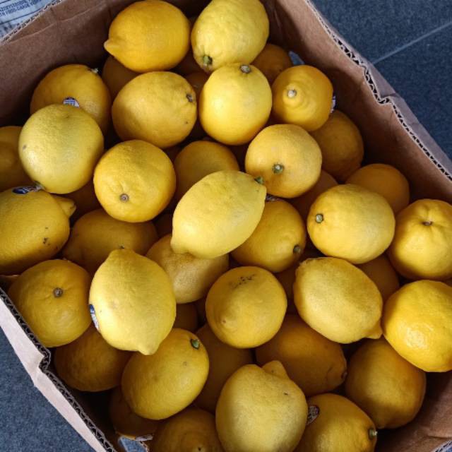 

Jeruk Lemon Lokal