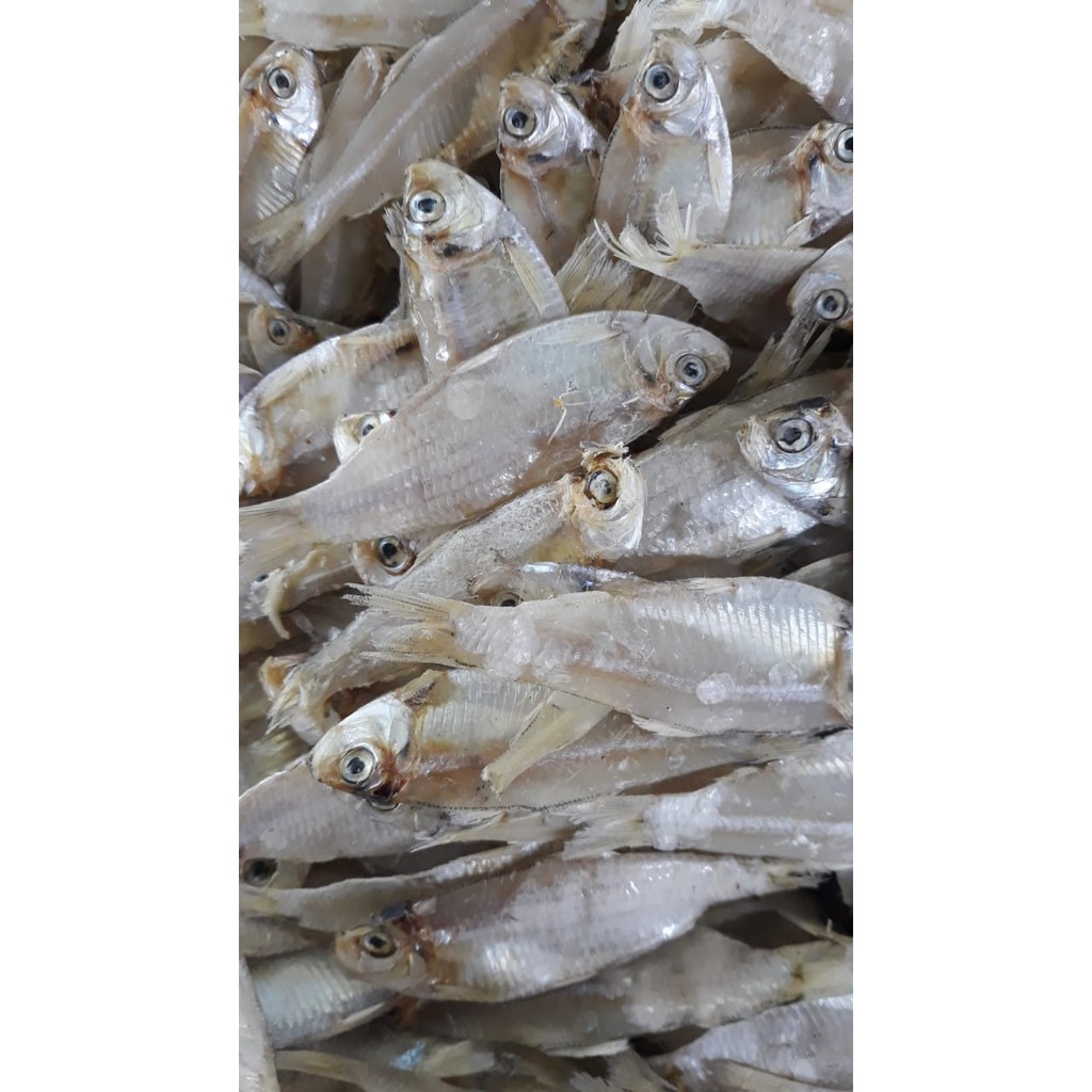 

Pakang tawar kering super 1 kg