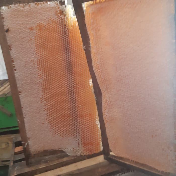 

Madu Sarang perbox 500gr