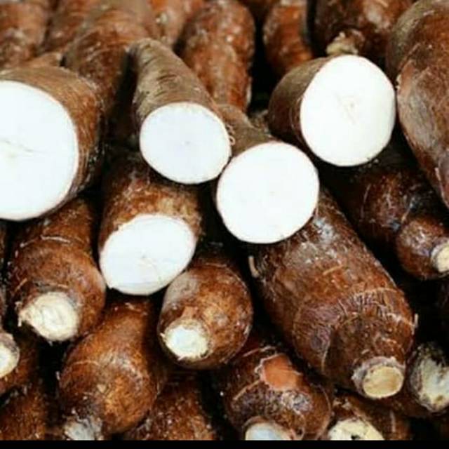 

Singkong segar fresh 1kg