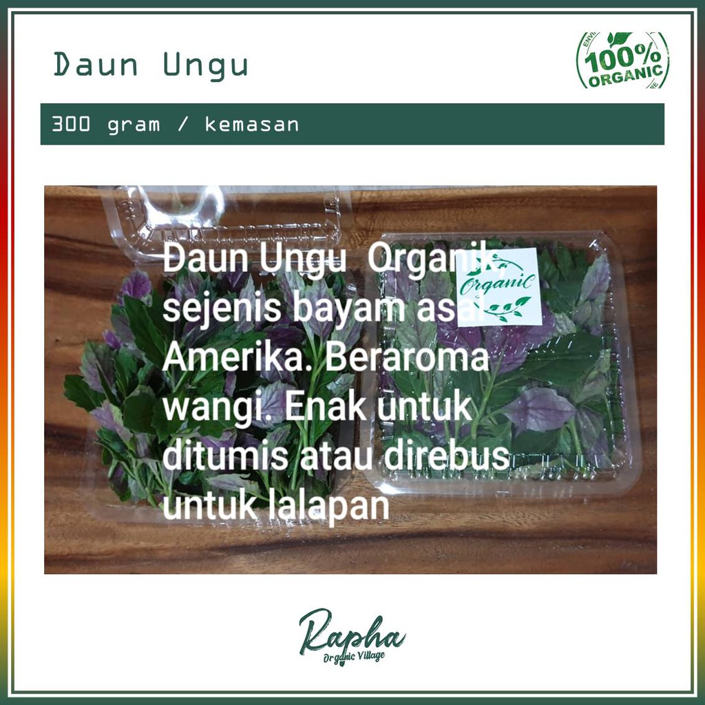 

Daun Ungu Organik