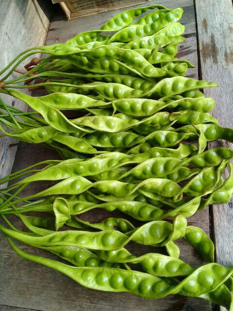 Kemeja Batik Dewangga Katun Halus Full Furing