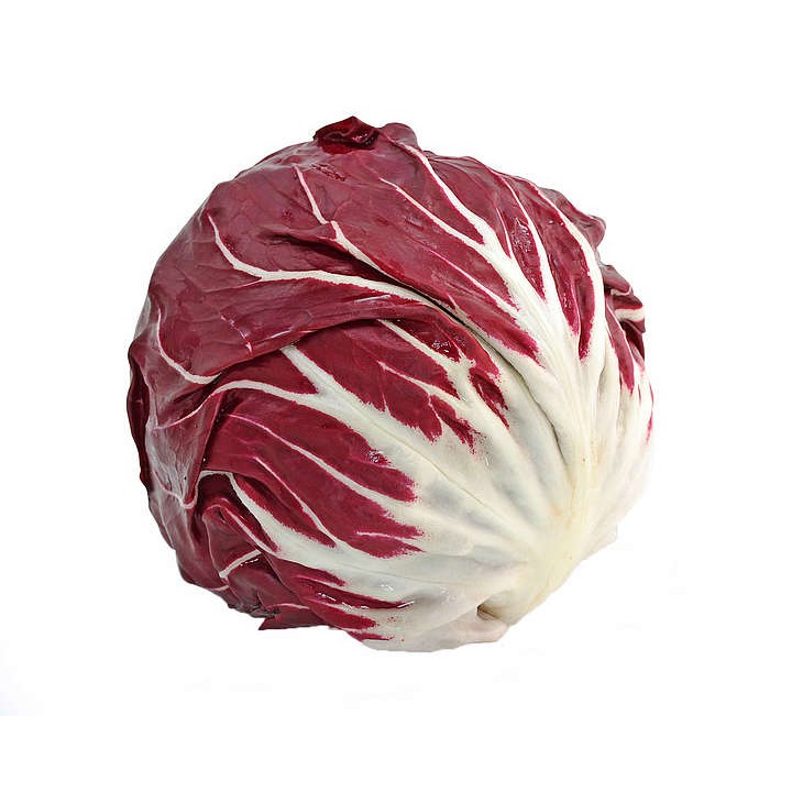 Benih Bibit Biji - Radicchio Palla Rossa (Cichorium intybus) Chicory Seeds - IMPORT