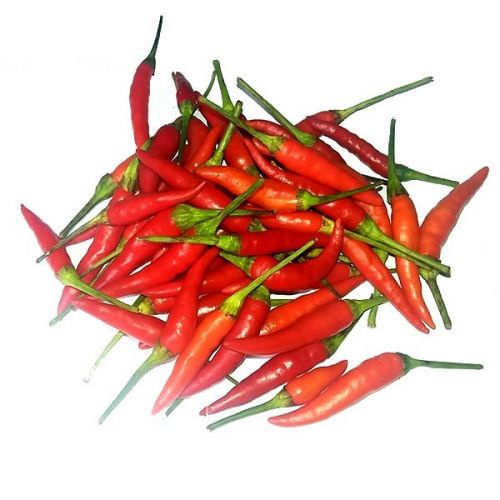 

Cabe Rawit Merah