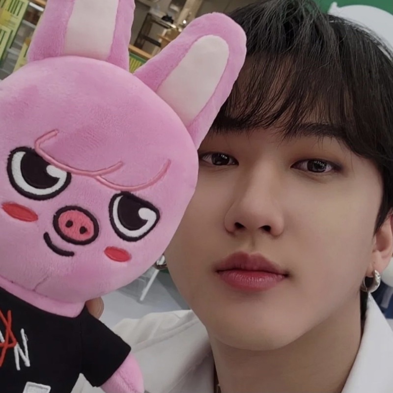 [ BOOKED ] SKZOO PLUSH DWAEKKI ORIGINAL