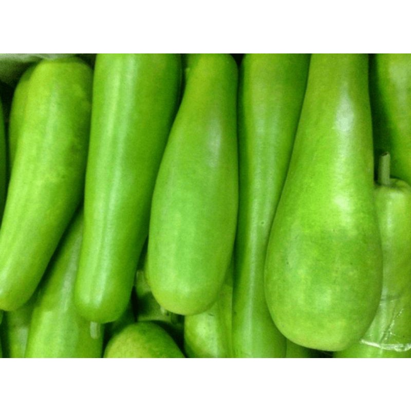 

Sayuran Labu Air segar & fresh / 1kg di jual di Warunk Juni