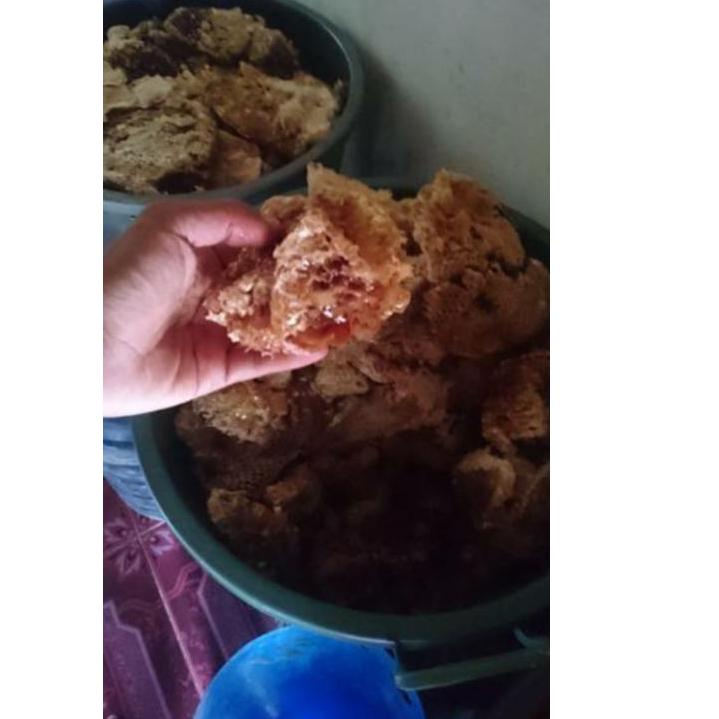 

⇽ Madu Hutan Liar 1 Kg / Hutan Liar Sumatra / Hutan Liar Klanceng / Madu Tawon Liar / hutan liar jambi / Madu Asli Madu Murni 100% Tanpa Campuran / Madu Kita ラ