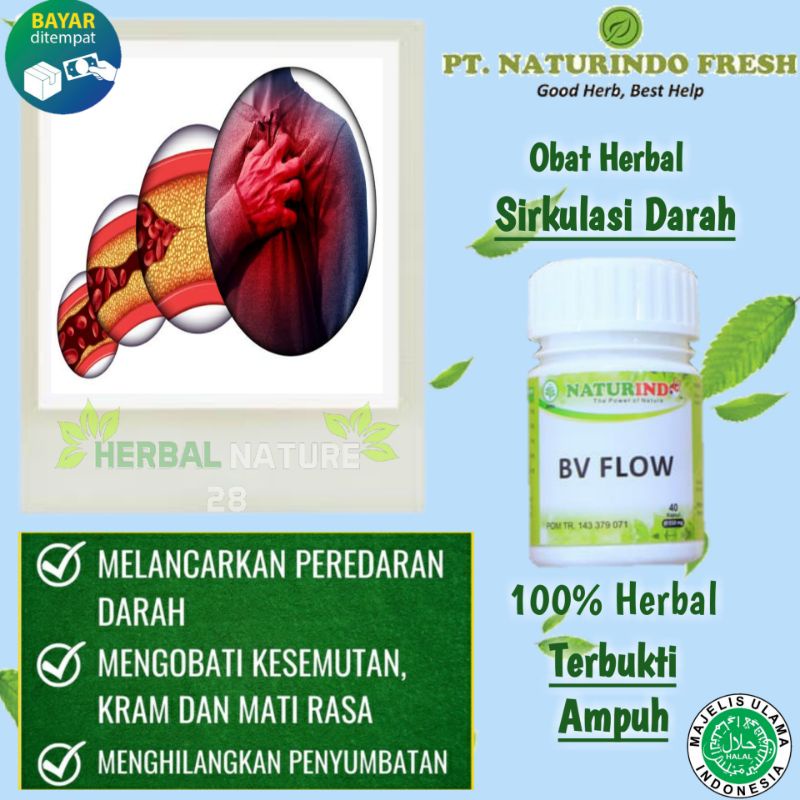 Obat Herbal Penyumbatan Kebas Kesemutan BV Flow Naturindo