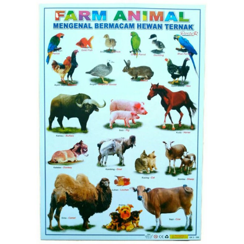 POSTER ANAK EDUKASI HEWAN TERNAK
