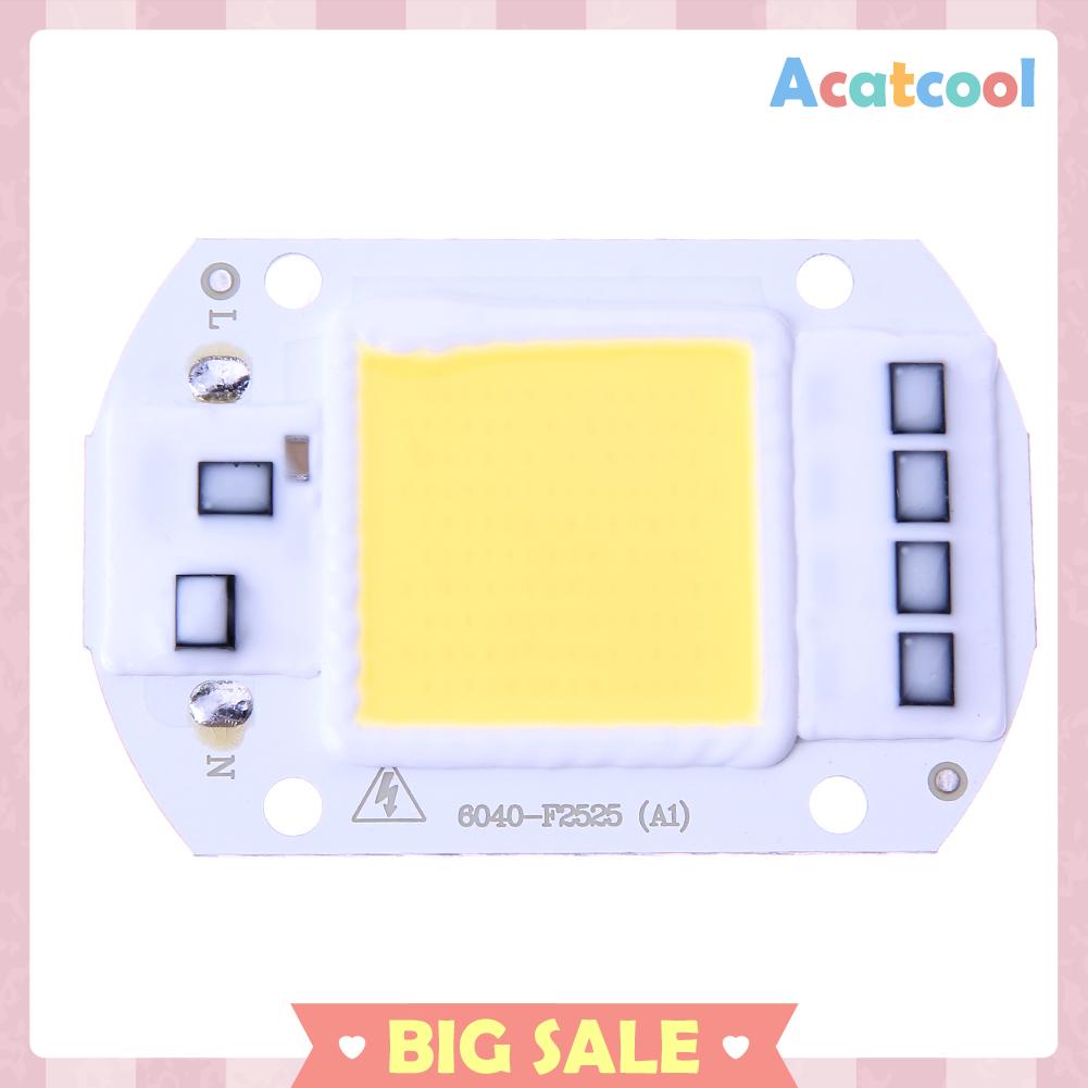 Chip Input Ic Driver Led Cob 50w 220v