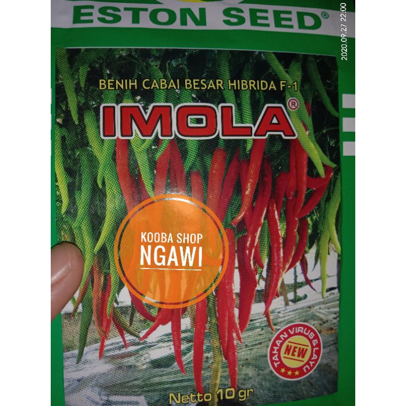 Imola Benih Cabai Besar Repacking - 50 benih