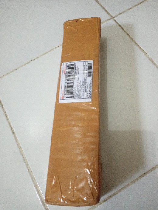 Bonggol Bunga Aglonema Golden Hope