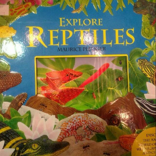 Explore Reptiles