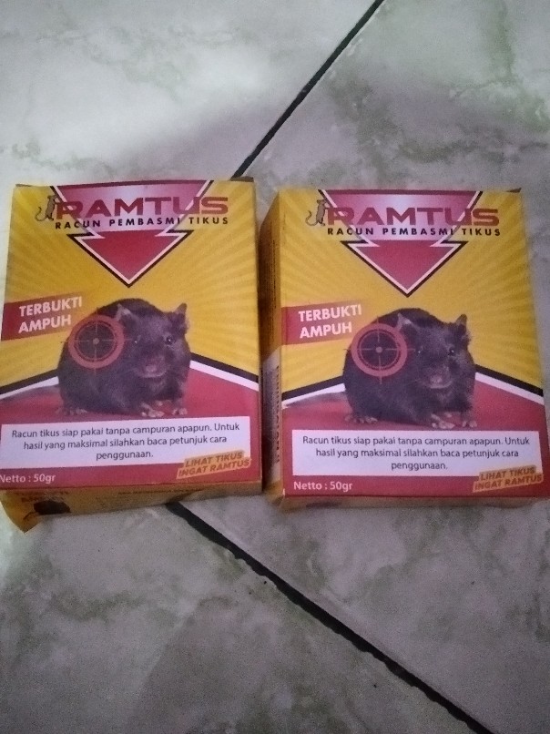 Racun Tikus Ramtus Asli Alami Mati Kering Tidak Bau Pembasmi Pengusir Tikus Paling Ampuh 12 Pack