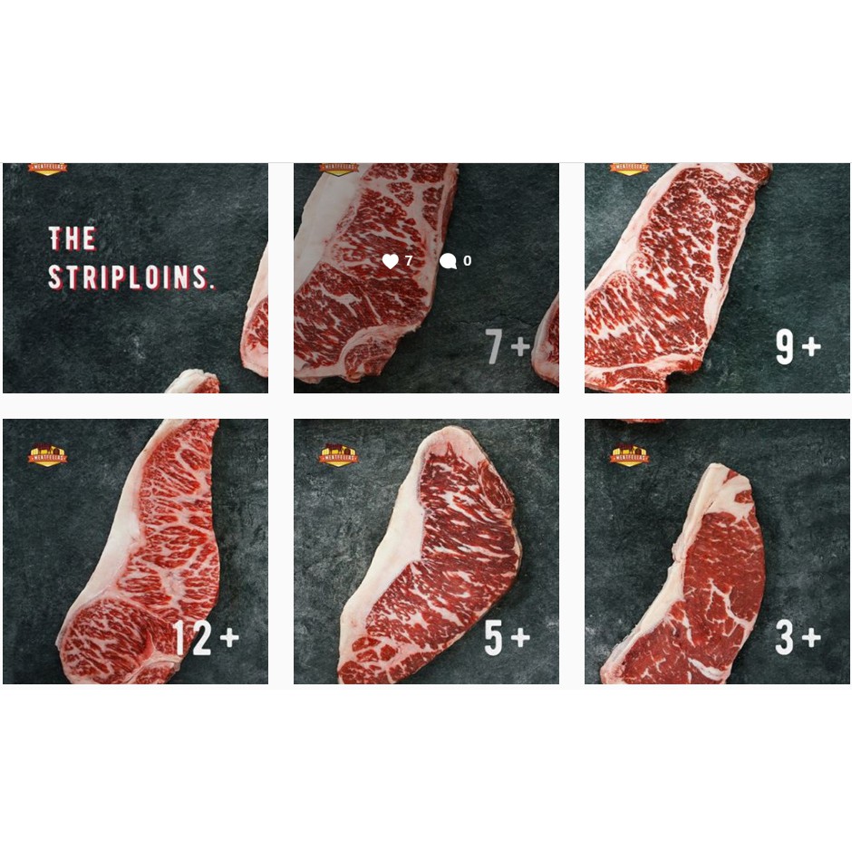 

Striploin Wagyu MB5+ AUS Daging Sapi Beef Marbling 5+