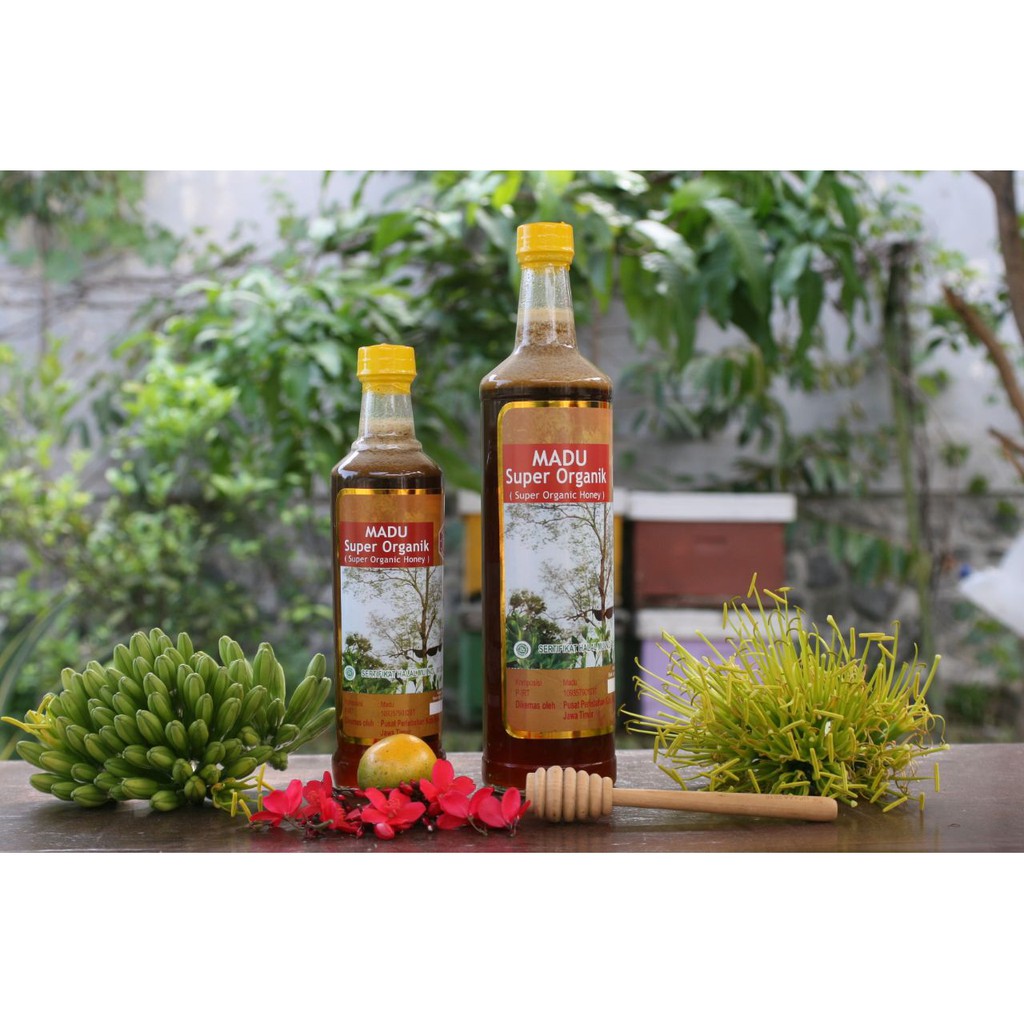 

Madu hutan Super organic madu malang madu murni
