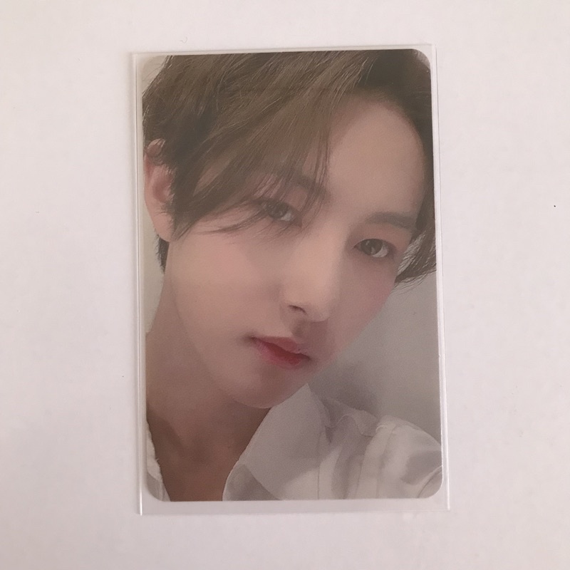 PHOTOCARD PC RENJUN CANDYLAB V4 SELCA