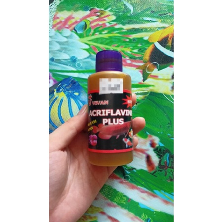 Acrivlafine Plus Obat Kuning Ikan Hias Obat Jamur Ikan Hias Obat Velvet Ikan Hias