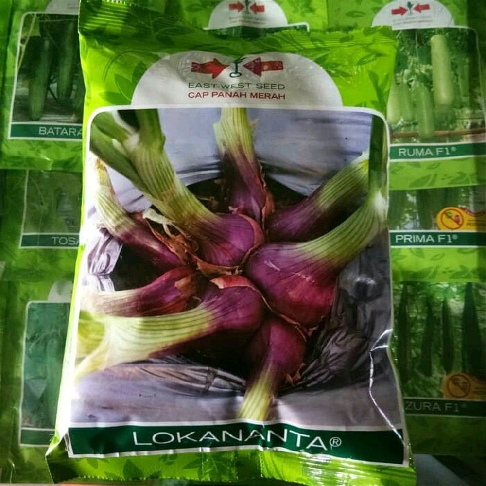 Benih Bawang Merah Lokananta 500 gram Panah Merah