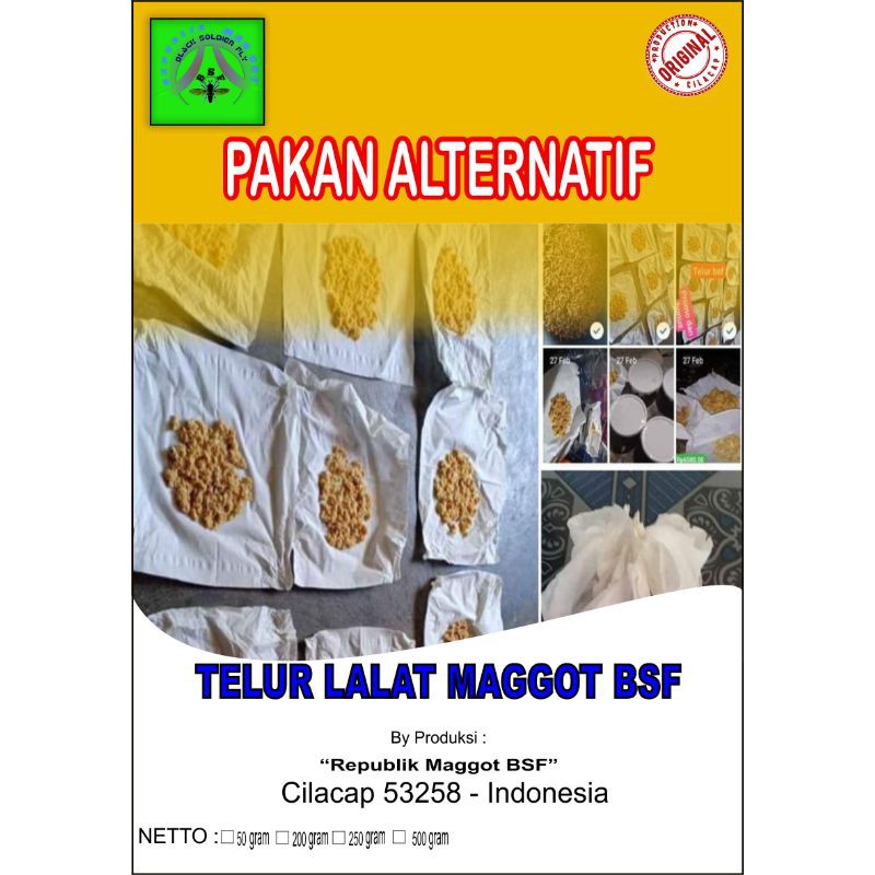 Telur lalat Magot bsf