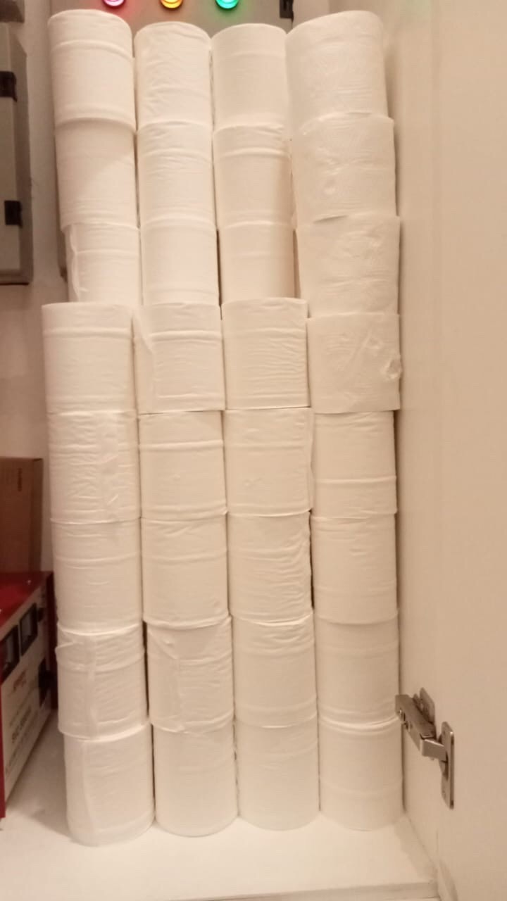 Go Send Only!!! Tissue Tisu Livi Roll Smart Due Toilet Gulung Naked 205s