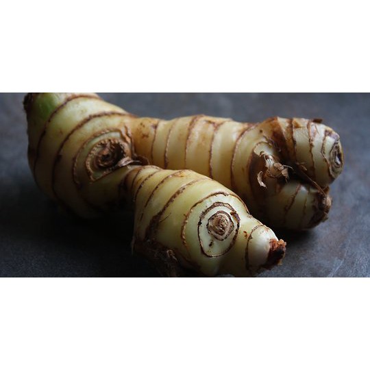 

LENGKUAS | LAOS | SAYURAN SEGAR