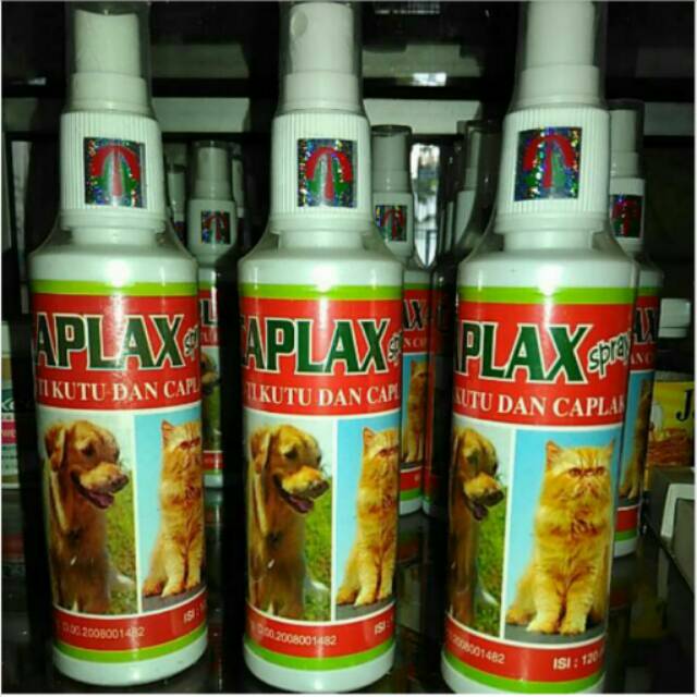 Caplax grosir 10botol