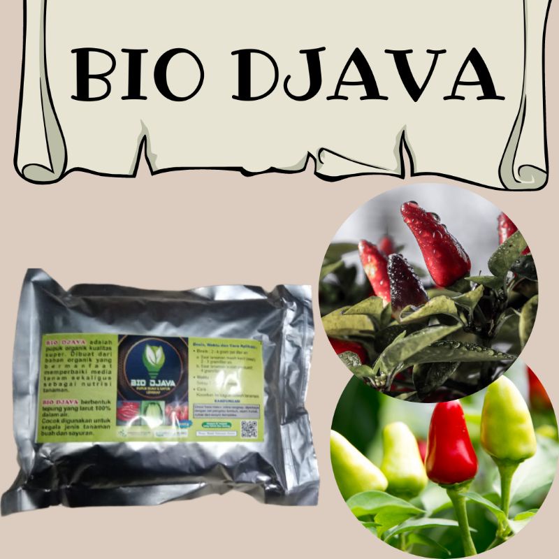 Pupuk Cabe Biar Berbuah Lebat, Pupuk Nutrisi Tanaman Cabe