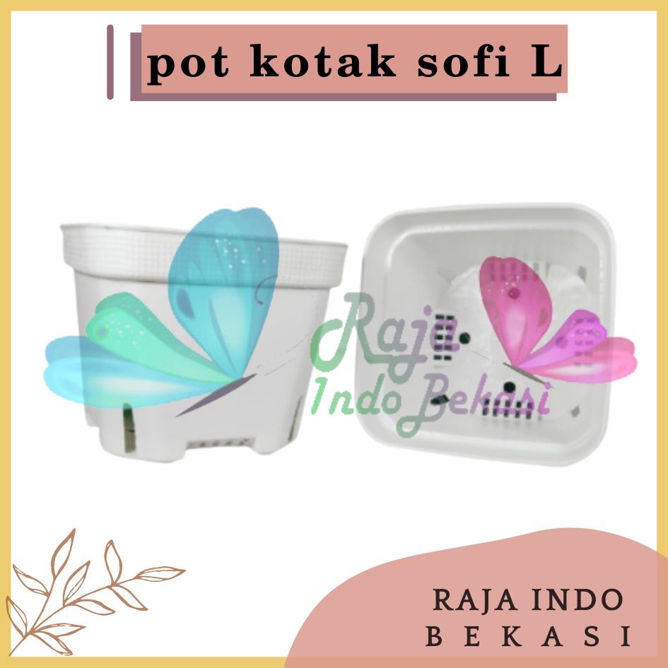 Pot Kotak Besar Sofi L 10CM Putih Tebal Pot Kaktus Mirip Juos Juoss Mini Pot Sofi Putih 10 Cm