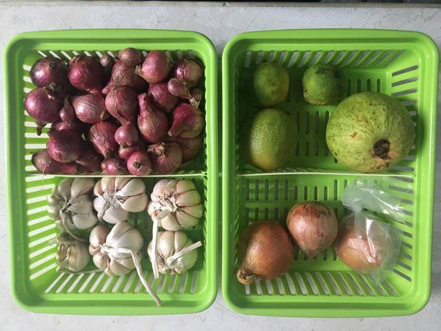Tempat Bawang Lombok Tbl1051