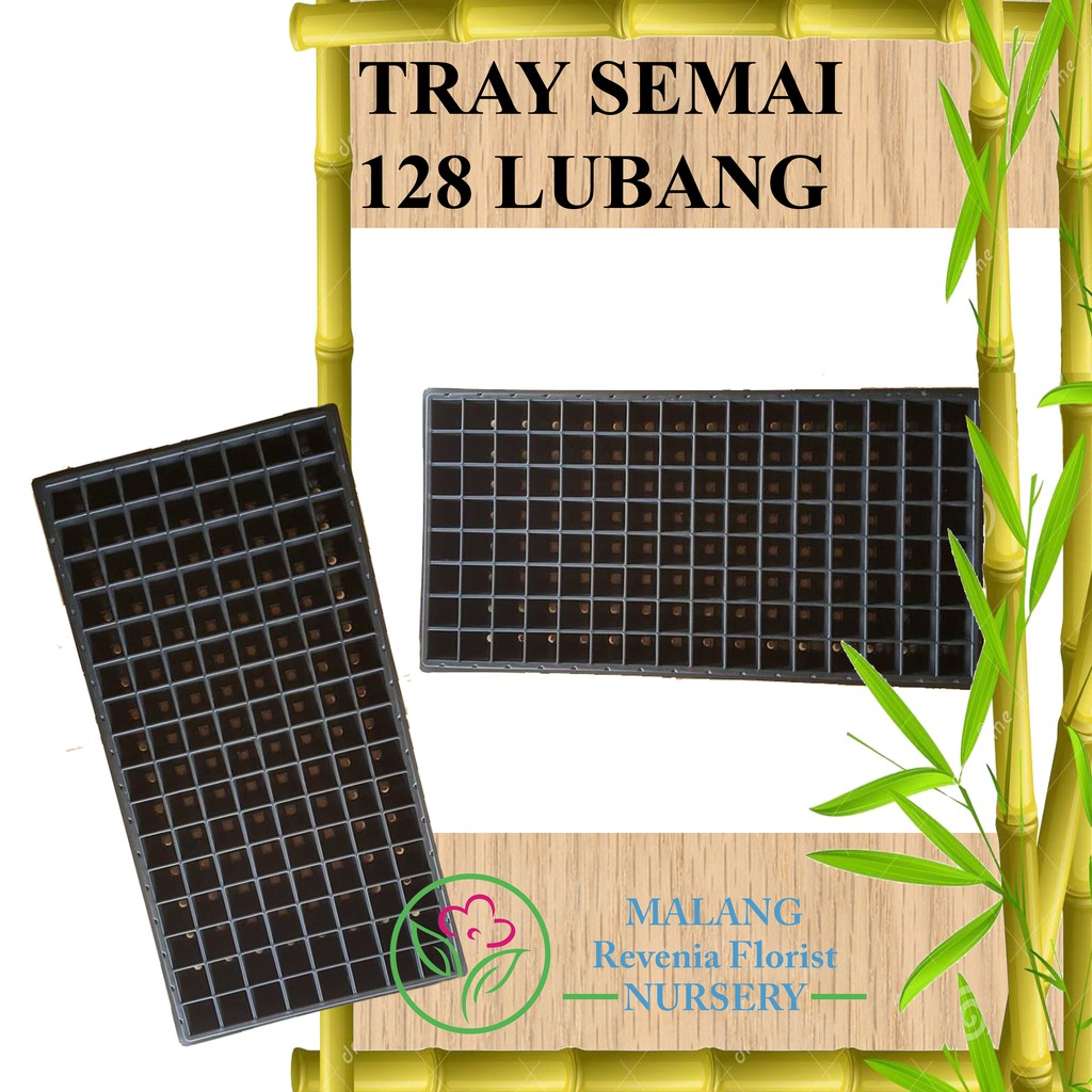 Tray Semai 128 Lubang