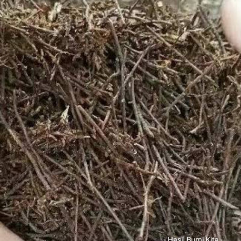 PAKIS CACAH 500gram Media Tanam Anggrek Aglonema dll Media Tanam SUPER