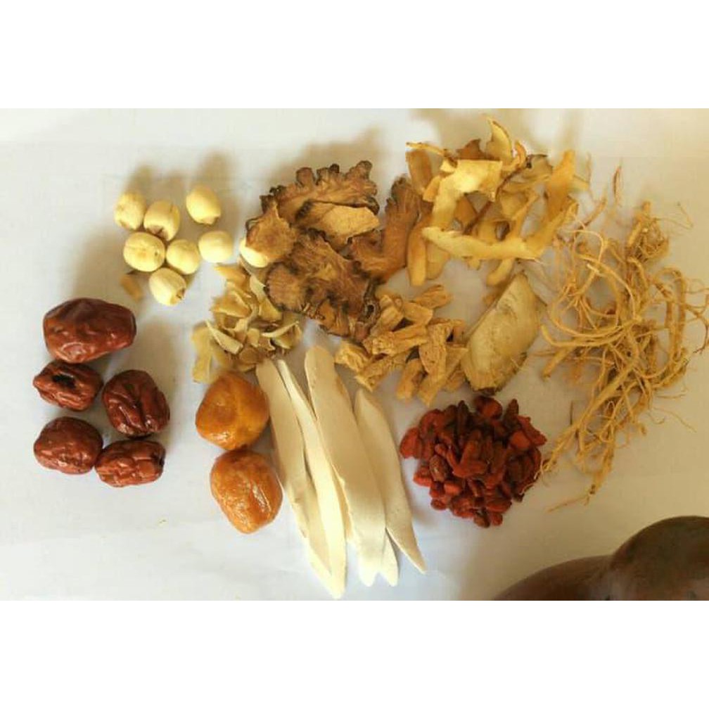 Tim Ayam Obat