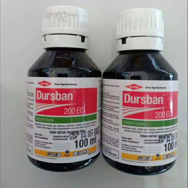 Dursban 200ec 100ml / Insektisida