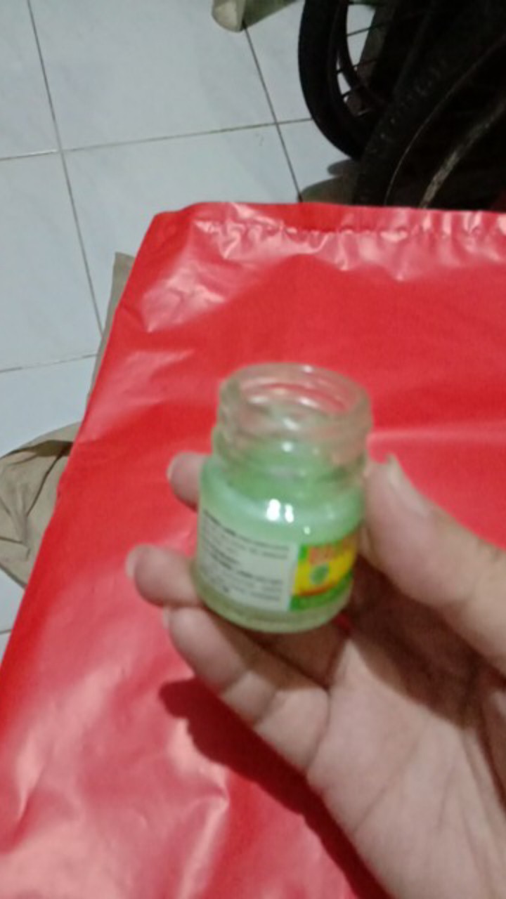 Balsem Lang Aroma Terapi / Eagle Balm