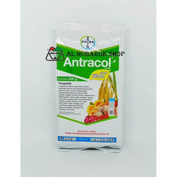 Fungisida Antracol 250 gram