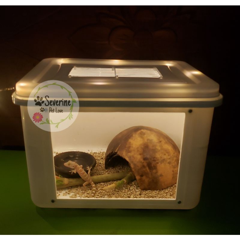 box reptil Kandang gecko Box Terrarium Reptile  Terarium kandang kadal kandang Gecko  box tokek kand