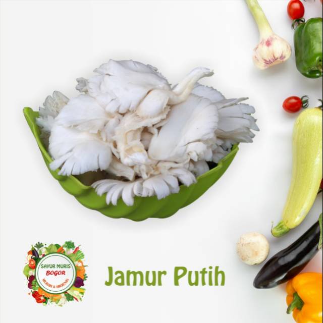 

JAMUR PUTIH MURAH 250gr