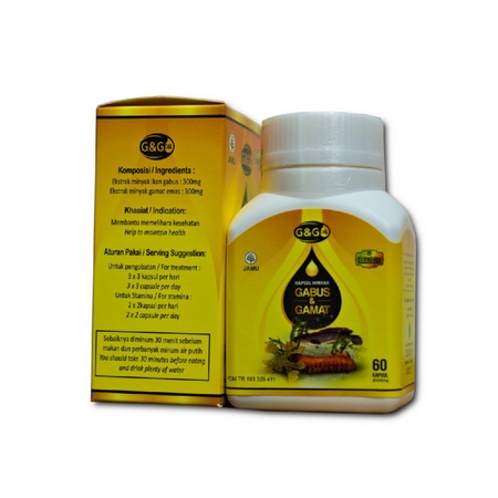 Minyak Albumin Ikan Gabus | Gamat Emas Syifacare G&amp;G isi 60 kapsul