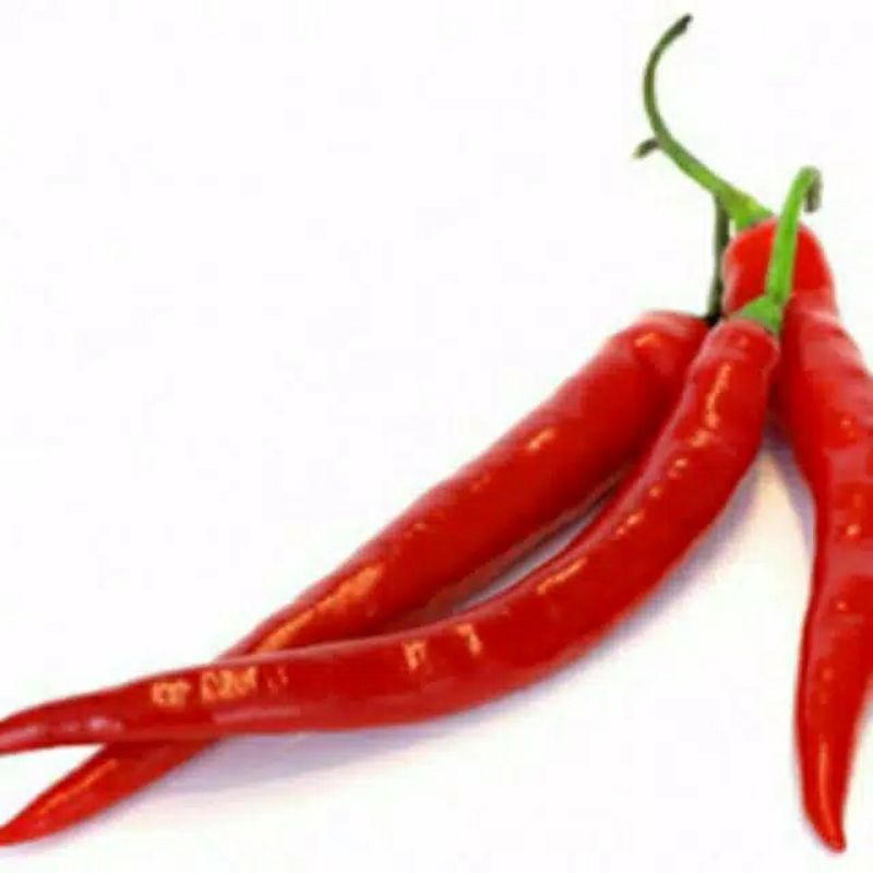

Cabai Merah Kriting (isi 50 biji)